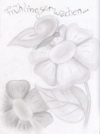Eine Bleistiftzeichnung zum Thema Frühling